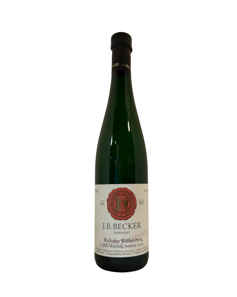 J B Becker Wall Walk Ries Aus Durchgegoren 22